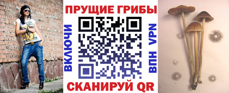 Псилоцибиновые грибы MAGIC MUSHROOMS kraken рабочий сайт Северо-Курильск дарнет шоп